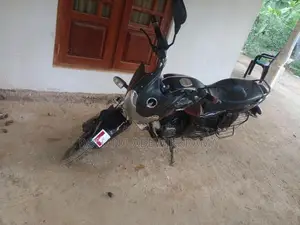 Bajaj Pulsar 150 2010