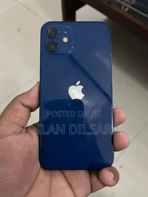 Apple iPhone 12 (Used)