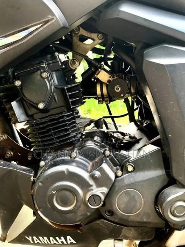 Yamaha FZ S 2019