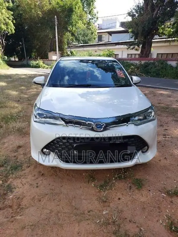 Toyota Axio WXB 2017