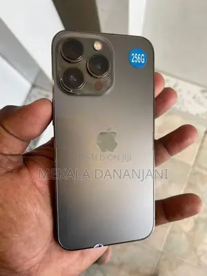 Apple iPhone 13 Pro 256GB (Used)
