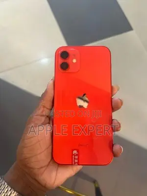 Apple iPhone 12 (Used)