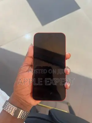Apple iPhone 12 (Used)