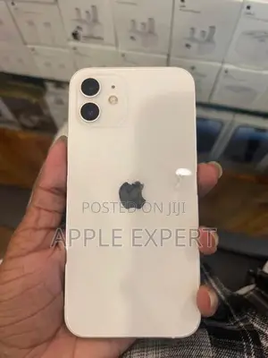 Apple iPhone 12 (Used)