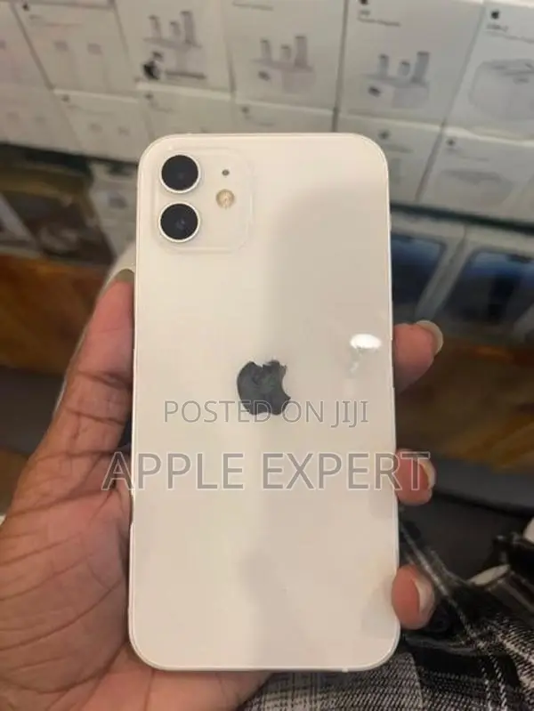 Apple iPhone 12 (Used)