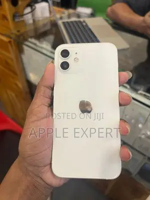 Apple iPhone 12 (Used)