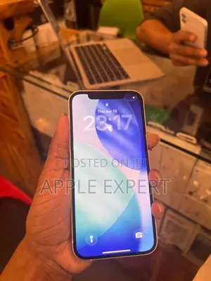 Apple iPhone 12 (Used)
