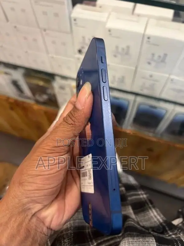 Apple iPhone 12 (Used)