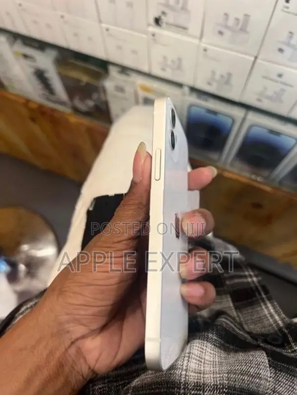 Apple iPhone 12 (Used)