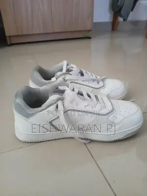 Dior sneaker