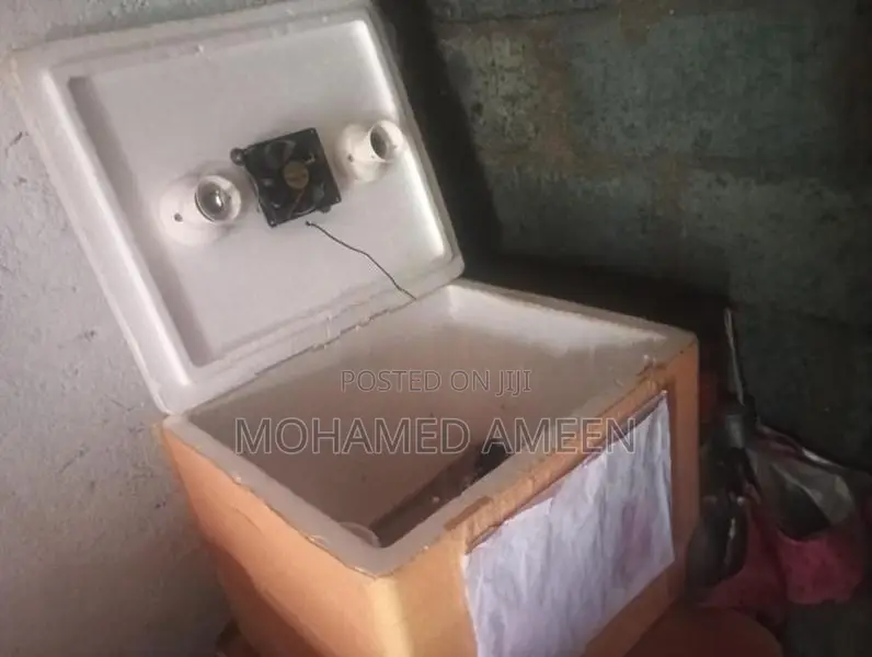 Egg Incubator