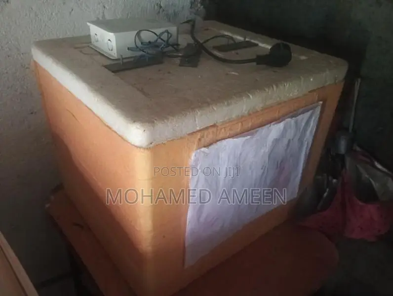 Egg Incubator