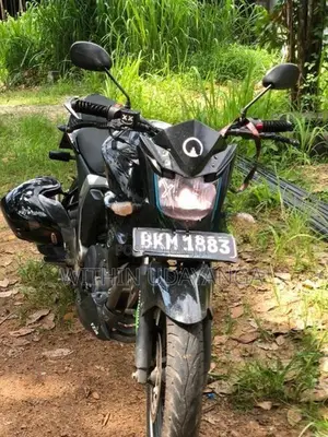 Yamaha FZs V2 2025