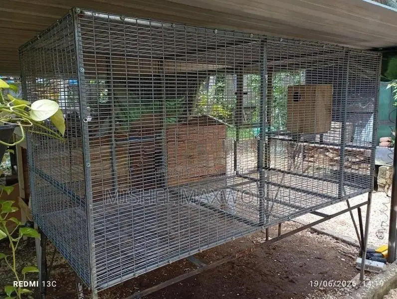 Bird Cage