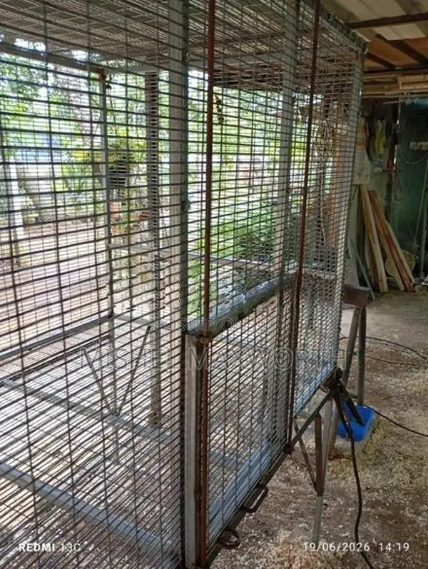 Bird Cage