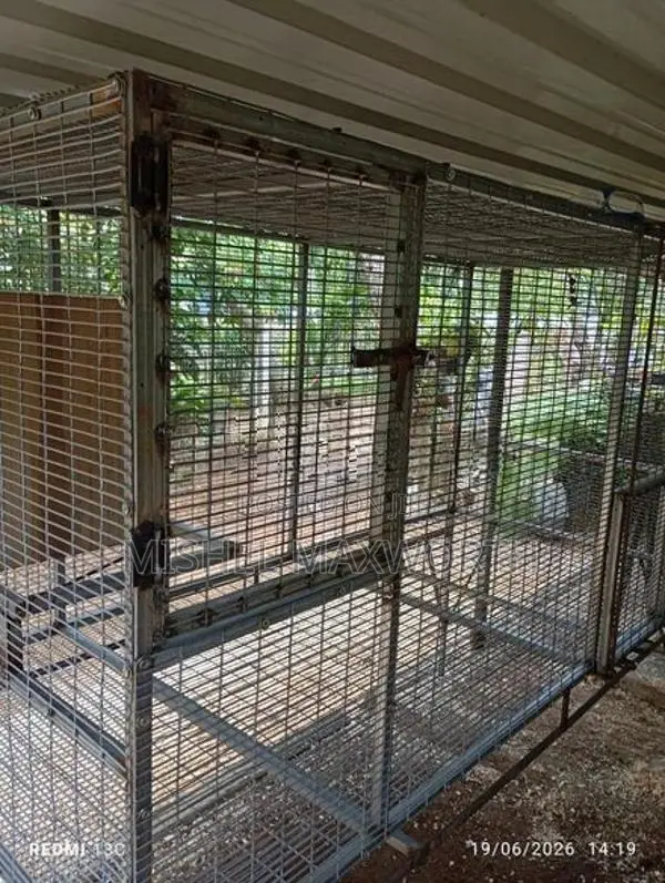 Bird Cage