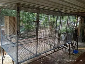 Bird Cage