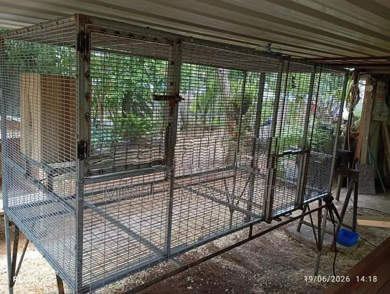 Bird Cage