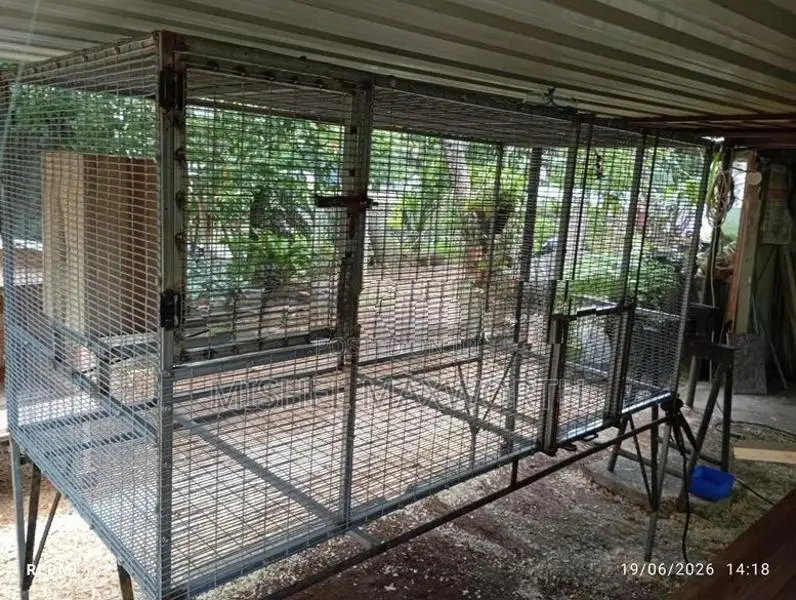 Bird Cage