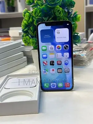 Apple iPhone 12 Pro 256GB (Used)