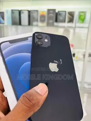 Apple iPhone 12 256GB Black Fullset (Used)