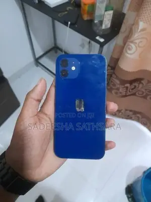 Apple iPhone 12 (Used)