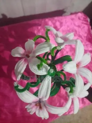 Flower Vases