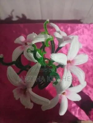 Flower Vases