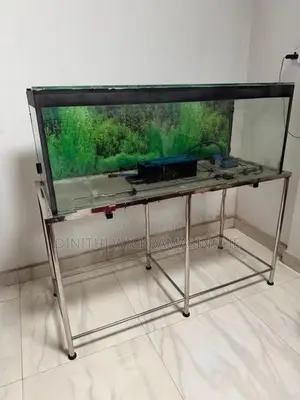 Fish Tank