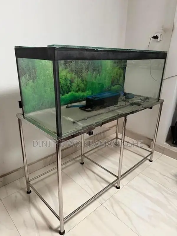 Fish Tank