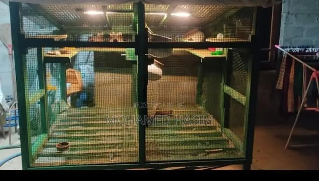 Long Bird Cage