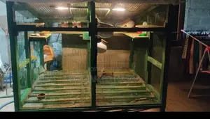 Long Bird Cage