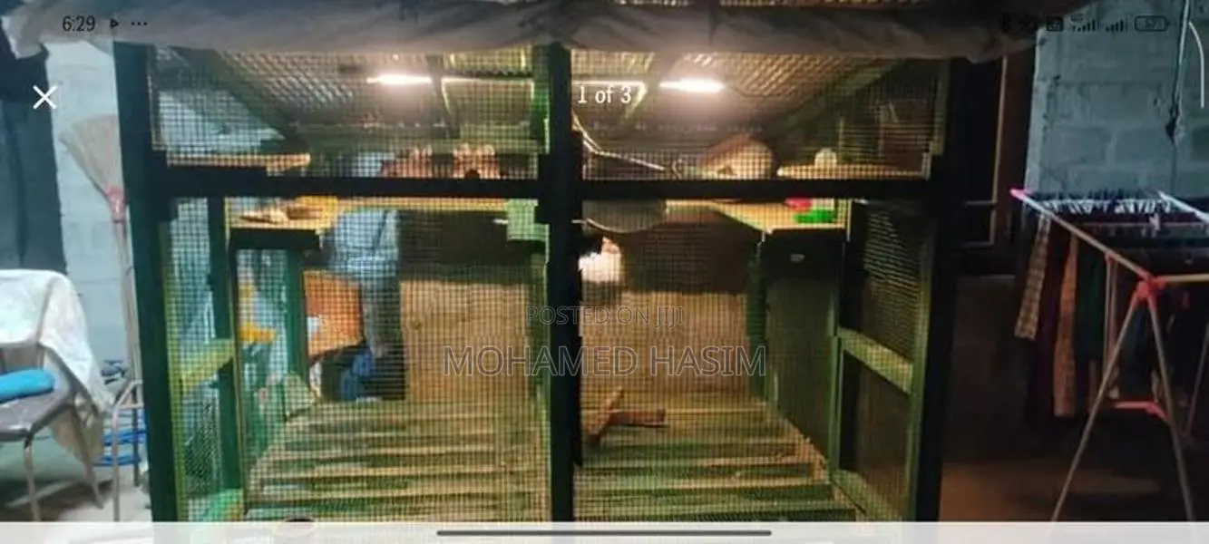 Long Bird Cage