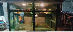 Long Bird Cage