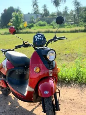 NWOW TK 10 2025