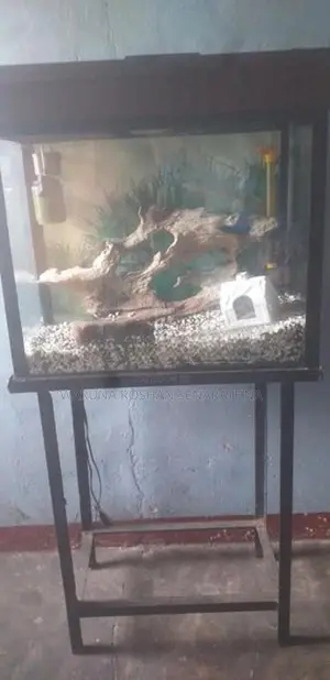 fish tank