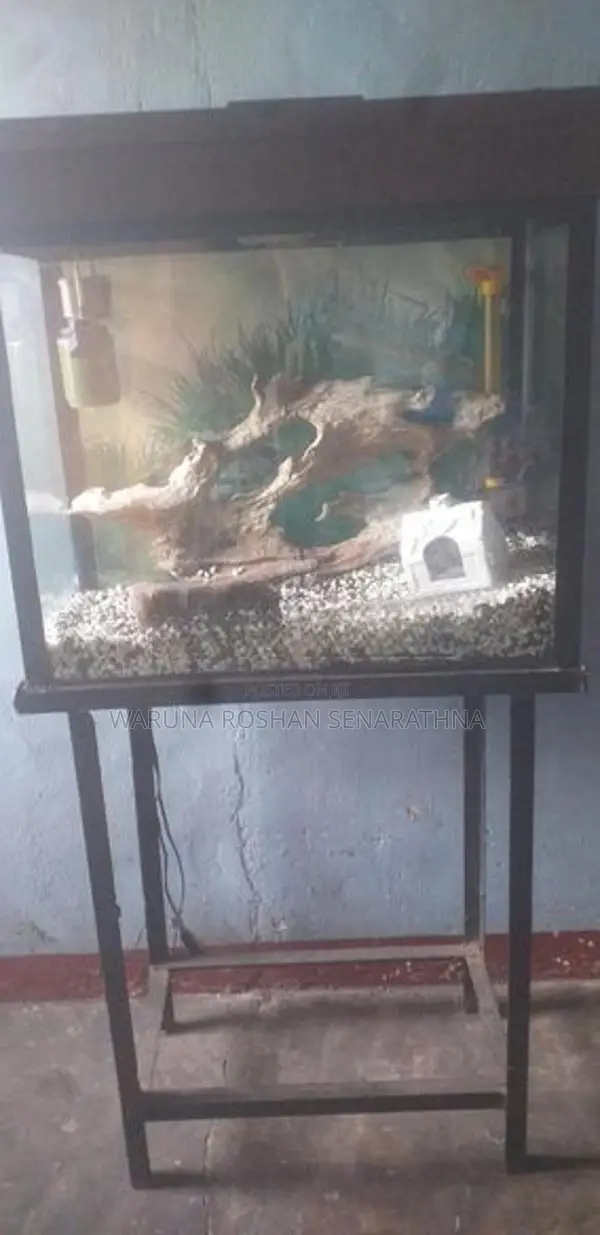 fish tank