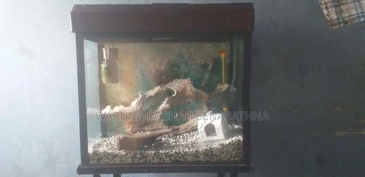 fish tank