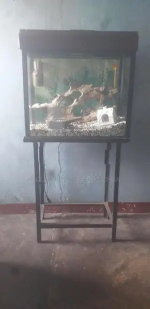 fish tank