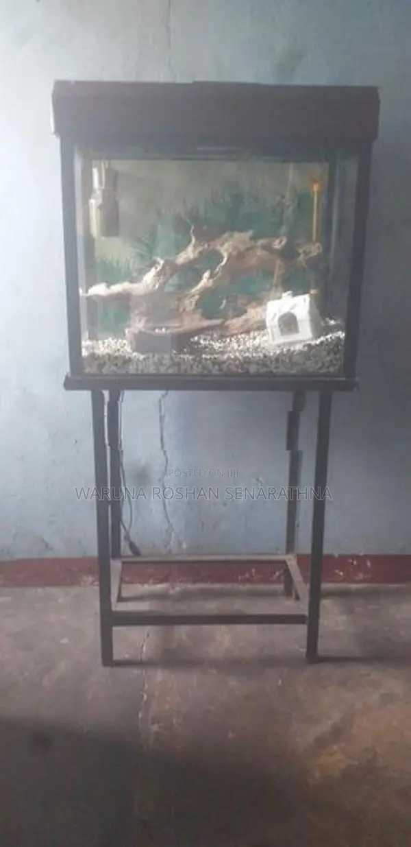 fish tank