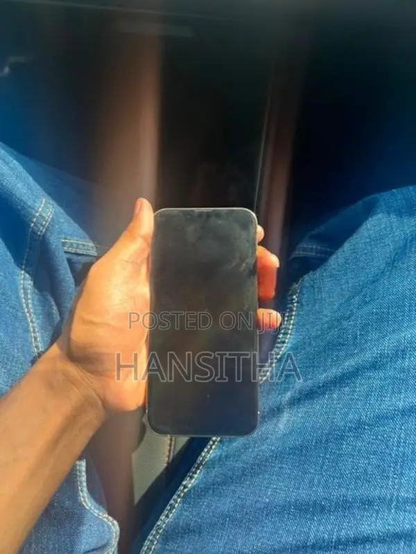 Apple iPhone 13 Pro 256GB (Used)