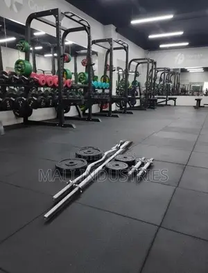 Brand New 30kg Dumbbell Set Weight Plate Home Gym