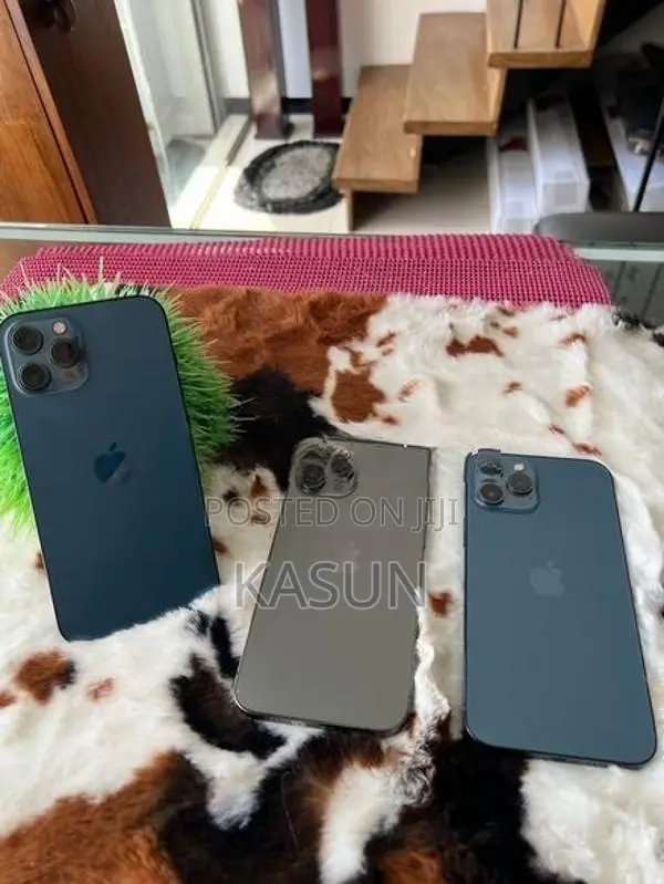 Apple iPhone 12 Pro 256GB (Used)