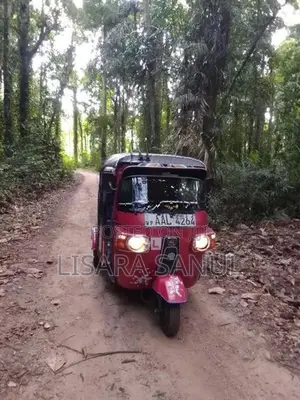 Bajaj RE 2013