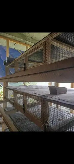 වටු කූඩු