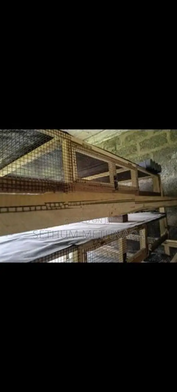 වටු කූඩු