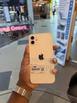 Apple iPhone 12 (Used)
