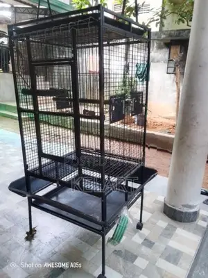 කුරුලු කූඩුව