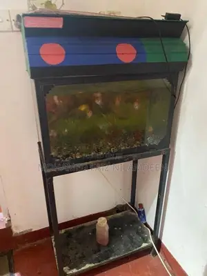 Fish Tank with Stand Full Set
