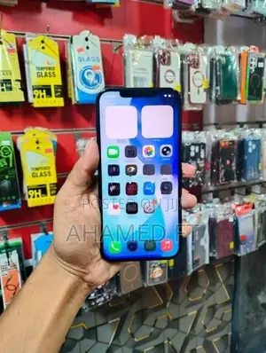 Apple iPhone 12 Pro Max 256GB (Used)